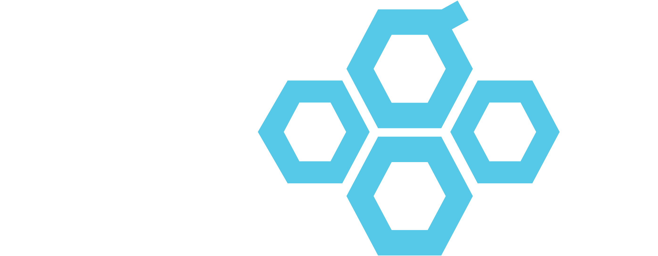 Hexogon Solution Japan Inc.