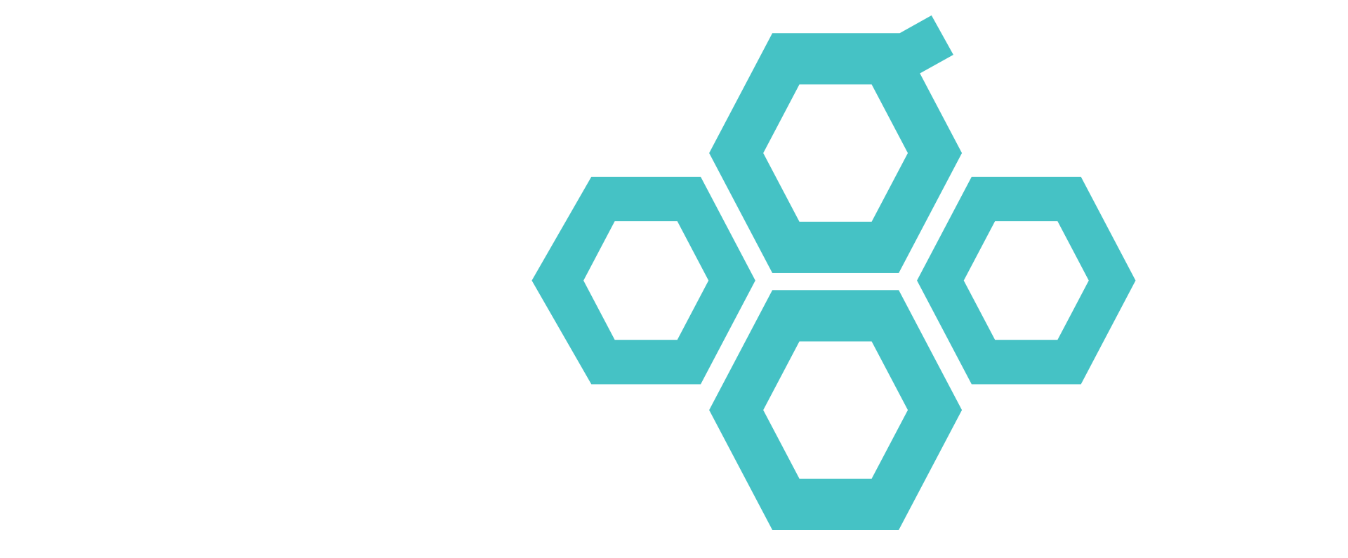 Hexogon Japan Inc.